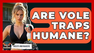 Are Vole Traps Humane? - Insects and Invaders