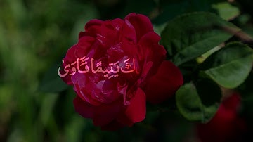 Surat Ad-Duha (The Morning Hours)سورة الضحى #surah #surahduha