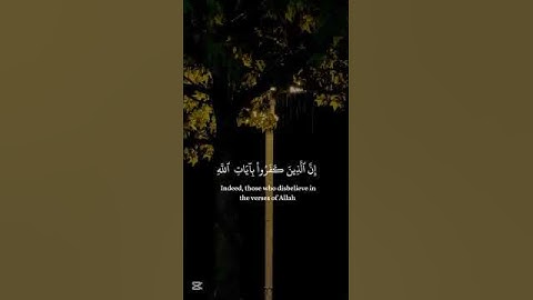 إن الذين كفروا بآيات الله لهم عذاب شديد
