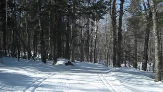 Top of Upper Fletcher, Sunday March 10 11:30AM EDT excellent coverage