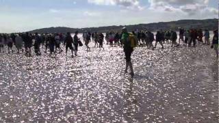 Cedric leads a cross bay walk