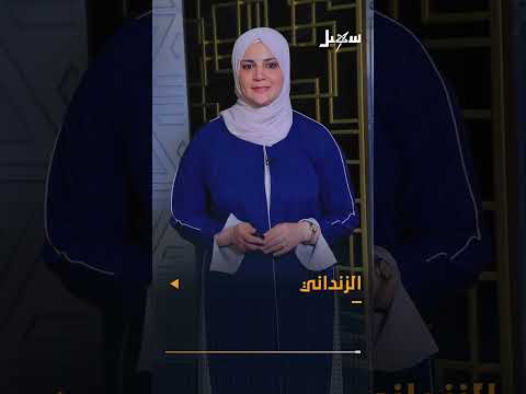 تطورات الأوضاع في اليمن: جهود السلام، الأوضاع في غزة، وتفشي الكوليرا