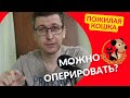 Можно ли оперировать старую (возрастную) кошку или собаку?