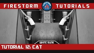 Parkour Tutorial 12: How to Cat