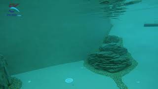 Biodesign-Pool Kriegergut Perg