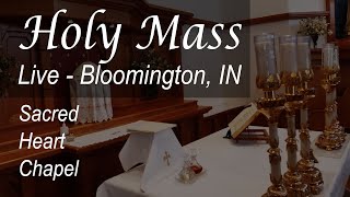 Live Mass &amp; Rosary - 7 AM - Tue - May 21