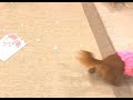 確実にあんたやね !!
