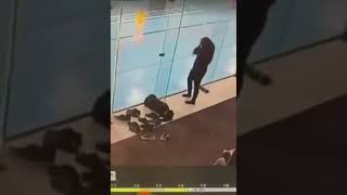 Sinek Gibi Cama Çarpan Kız