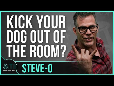 Steve-O's Kicking a Dog Out of the Room When It's Sexy Time - Answer the Internet