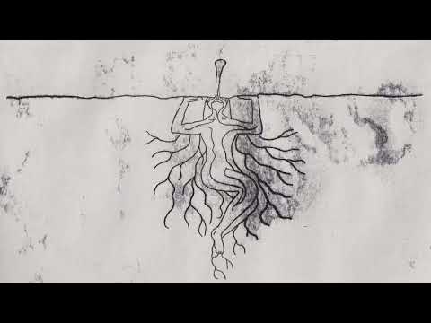 YouTube에서 Cosmo Sheldrake - The Feet Are The Link (official video) 보기