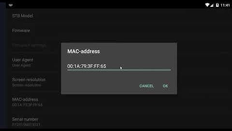 How to configure Stb Emulator on Firestick or On Android Box