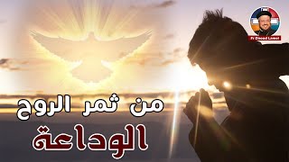 من ثمر الروح.. الوداعة - أبونا داود لمعي