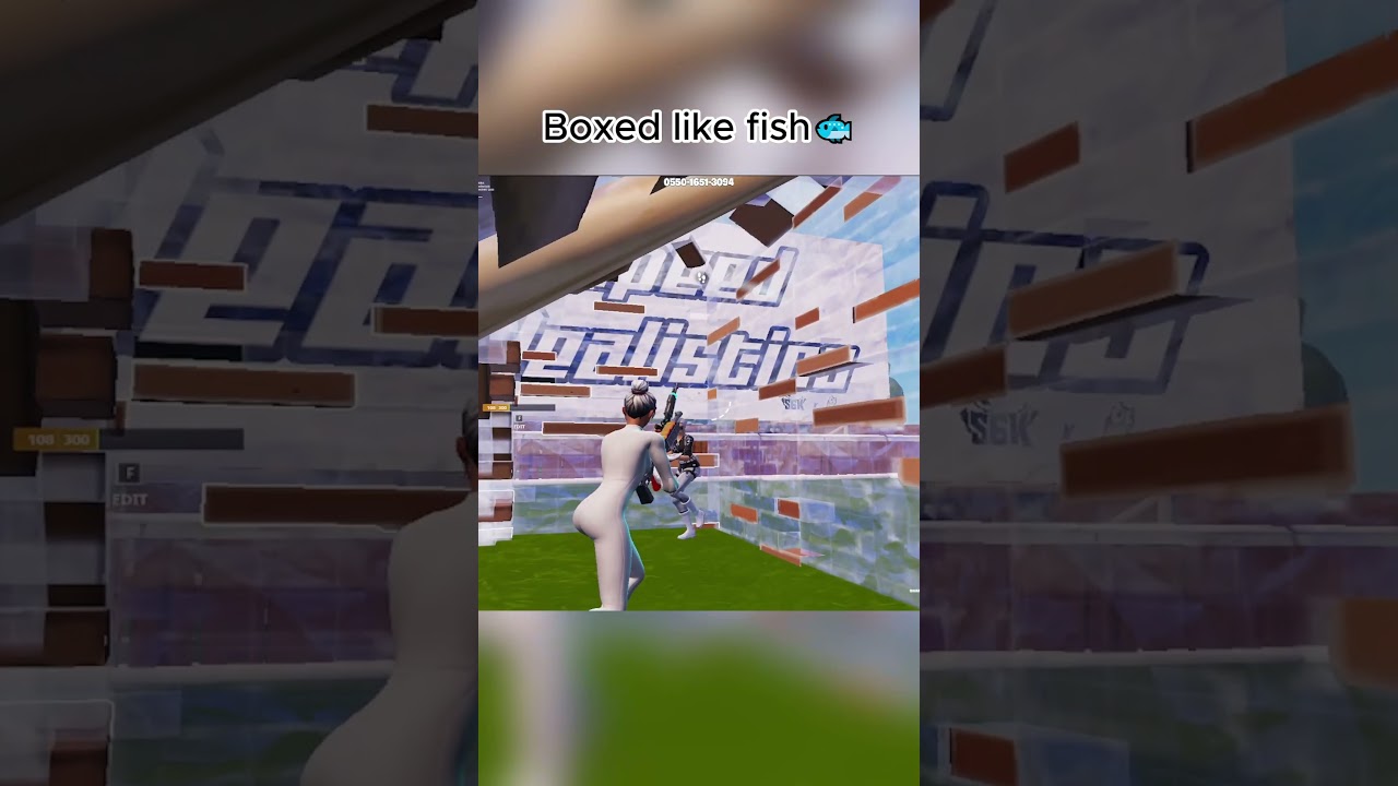 Box like a FISH (SHIT ON)🐟