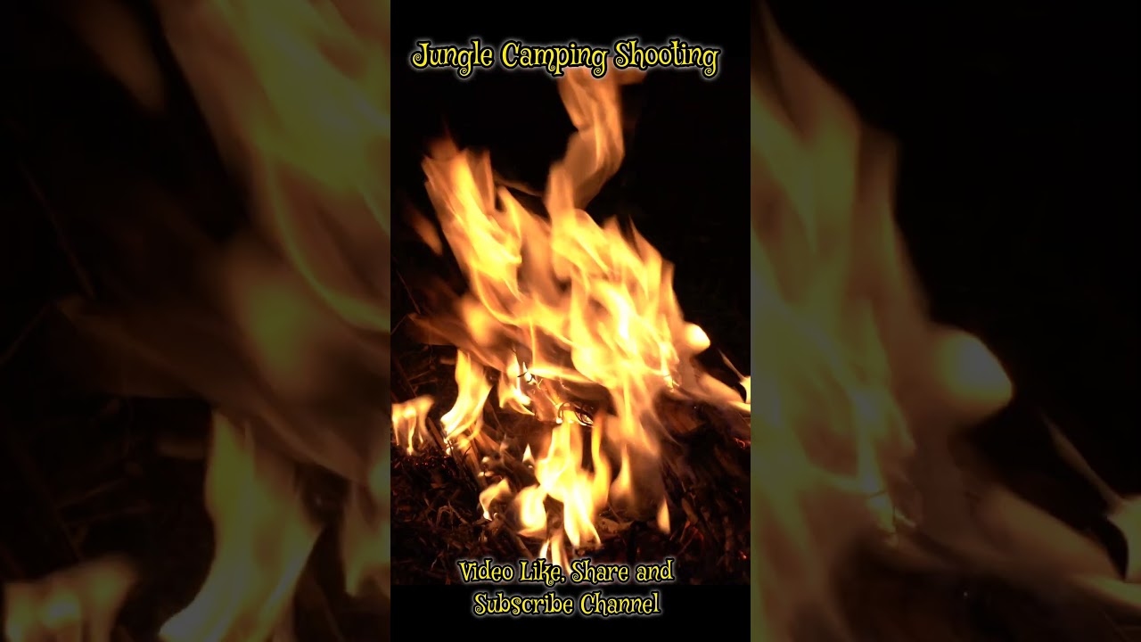 Jungle Camping Shooting 