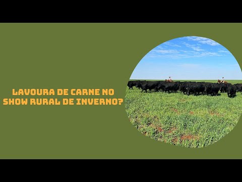 Lavoura de carne no Show Rural de inverno? Vem entender o que isso significa