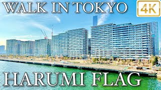 【 HARUMI FLAG 晴海フラッグ 】 Walk in Tokyo 東京 4K