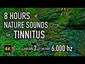 8 Hours Nature Sounds for Tinnitus — EP 7 | [6,000 Hz] | 4K HDR10 - E07-6000