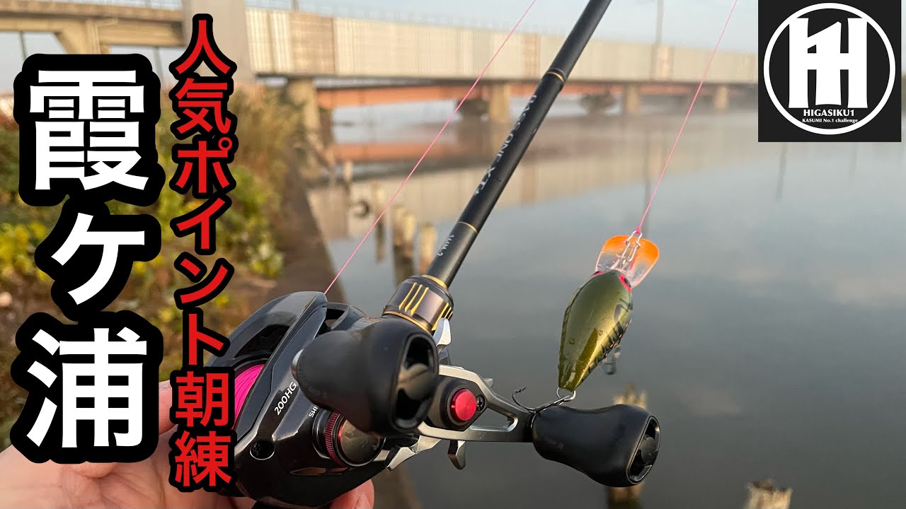 バス釣り今日の霞ヶ浦水系！与田浦2025年11月24日