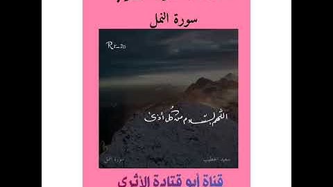 القارئ سعيد الخطيب سورة النمل / حالات واتس اب