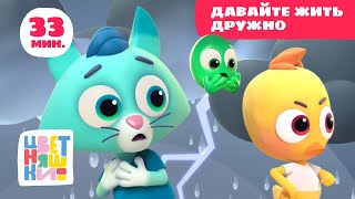 видео: Цветняшки — Давайте жить дружно — Сборник серий —  Развивающий мультфильм картинка: Цветняшки — Давайте жить дружно — Сборник серий —  Развивающий мультфильм