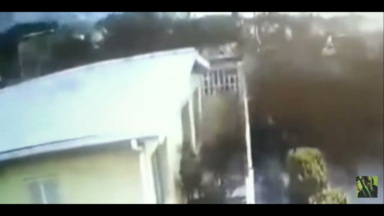 COUNTLESS Dead Birds Fall From Sky in Kentucky & Mexico