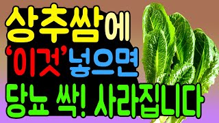 당뇨 혈당관리, 상추의 효능에 감탄! 상추 먹는법과 '이것'의 조합으로 식후 혈당 뚝 떨어져 당뇨 극복의 새로운 희망이 됩니다.