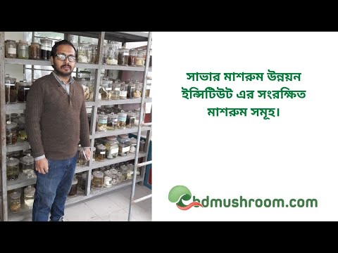 ভিডিও: মাশরুম সম্পর্কে আপনার যা জানা দরকার