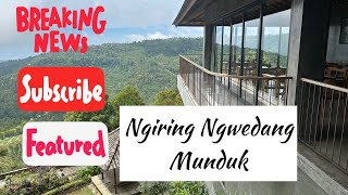 Ngiring Ngwedang Cafe & Rest || Munduk Banjar Buleleng