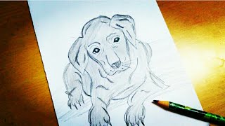 Pencil Sketch of a cute puppy / Art for beginners / D Art.