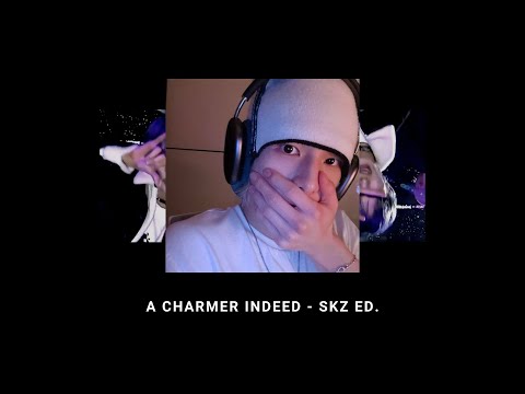 Playlist Stray Kids Mood Booster While Studying