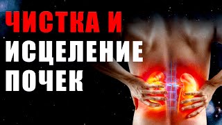видео: Чистка и Исцеление Почек | Здоровье | Исцеление | Восстановление | Исцеляющая Медитация картинка: Чистка и Исцеление Почек | Здоровье | Исцеление | Восстановление | Исцеляющая Медитация