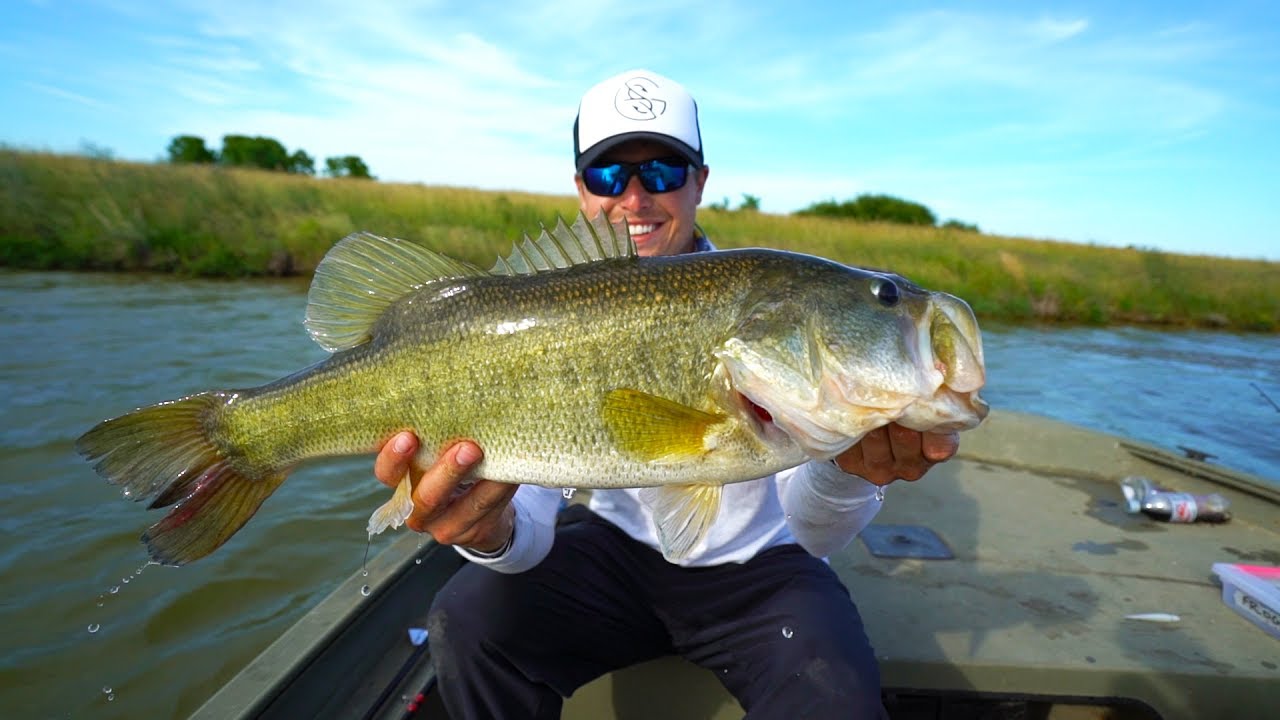 seamlessr how to bass seamlessr how to bass