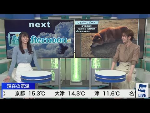 のんちゃんと初クロストーク【高山奈々×大島璃音】 2021年12月16日(木)コーヒータイム