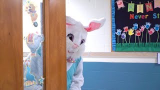 Easter Bunny 2019