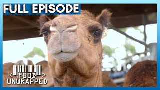 Camel Milk vs Supermarket Foods - Are You Paying More for the Same Thing? | Food Unwrapped