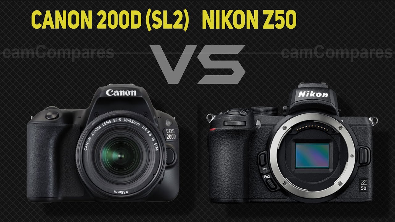 Nikon Z50 Vs D500