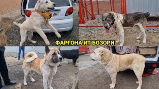 видео: Фарғона ИТ БОЗОРИ картинка: Фарғона ИТ БОЗОРИ