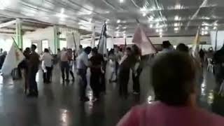 Valsa da vovó elfrida - os reis do bailinho