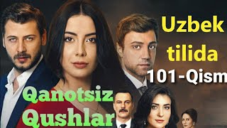 Qanotsiz Qushalar 101-Qism uzbek tilida Канотсиз Кушлар 101-Кисм узбек тилида