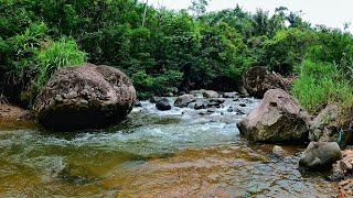 Pure Relaxation ASMR Clear Water Flow for Stress Relief ( Relaxation, Meditation, ASMR )