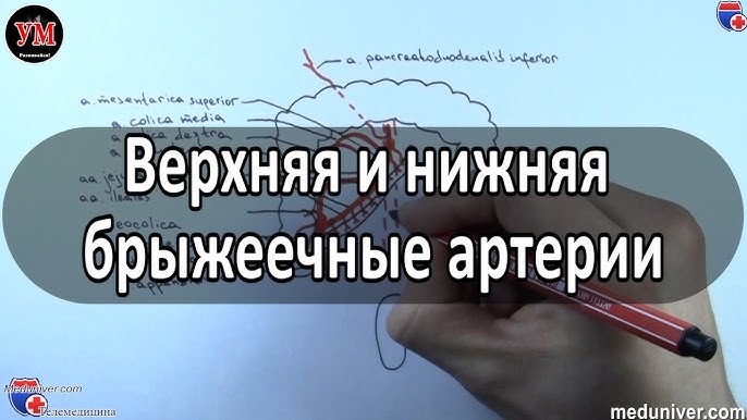 Dikni muloyimlik bilan kiritadi