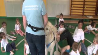 Szekszárdi ovisok tornája terápiás kutyával