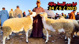 اليوم من الأربعاء مقارنة بثلاث سيدي بنور إقليم دكالة مع ثمن حولي صردي العيد الاضحى ب 24 مايو 2023