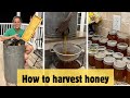 Beekeeping 101: HOW TO HARVEST HONEY | Every step explained for beginner beekeepers!