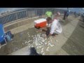 Pompano Pier Fishing (Jacks, Runners, and Mackerel)