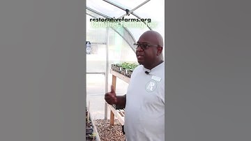 A tour of a working container farm in Dallas at the in the Restorative Farm Growzilla