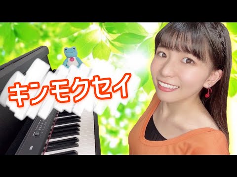 キンモクセイ／オレンジスパイニクラブ 【ピアノ弾き語りカバー】 Full歌詞付き