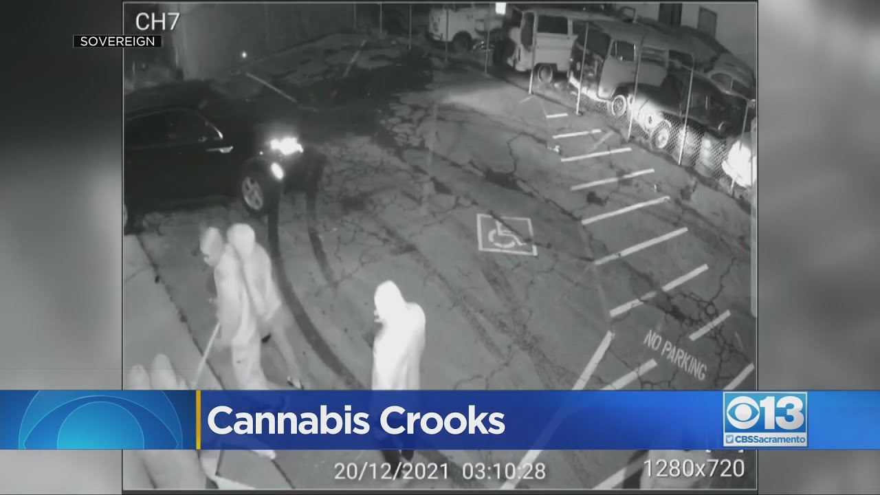 Sacramento Police Investigate Cannabis Burglaries