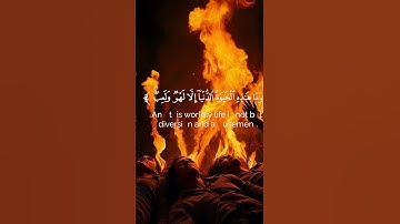سورة العنكبوت 🌿القارئ ياسر الدوسري