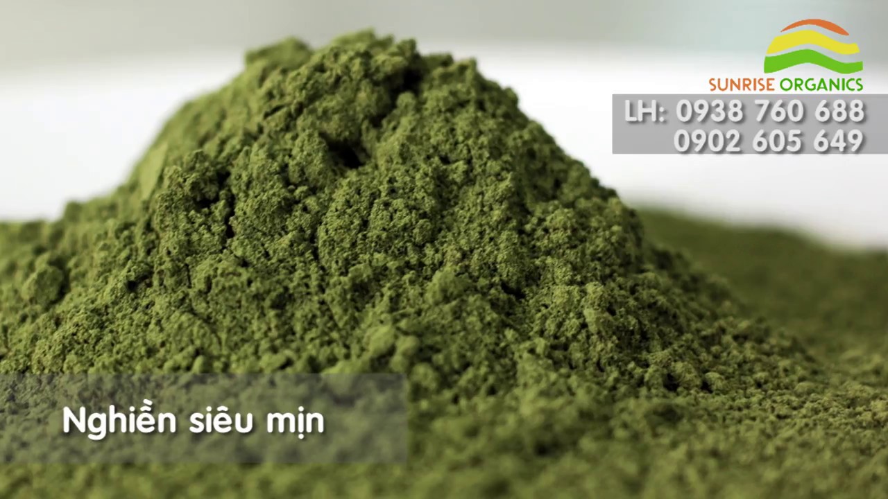 Quy trình sản xuất bột rau má - youtube